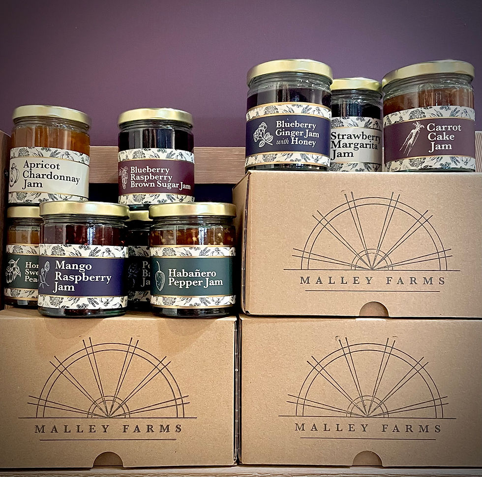 Thumbnail: Jam of the Month: 12 Month Subscription