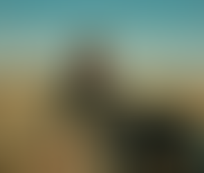 In The LONG RUN, We SHAPE Our LIVES..