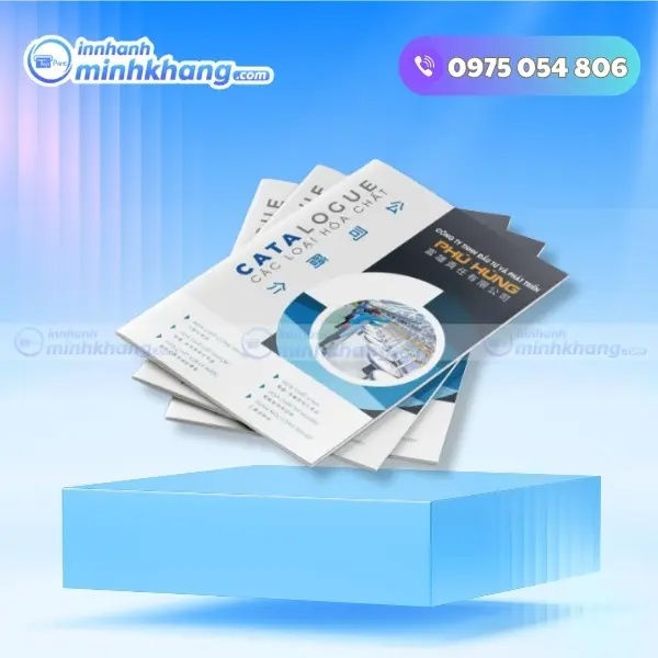 in catalogue lấy ngay