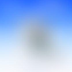 in catalogue giá rẻ