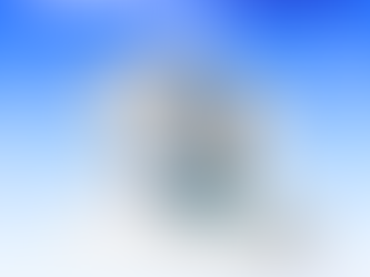 in catalogue giá rẻ