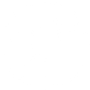 MPP LOGO_8x White.png