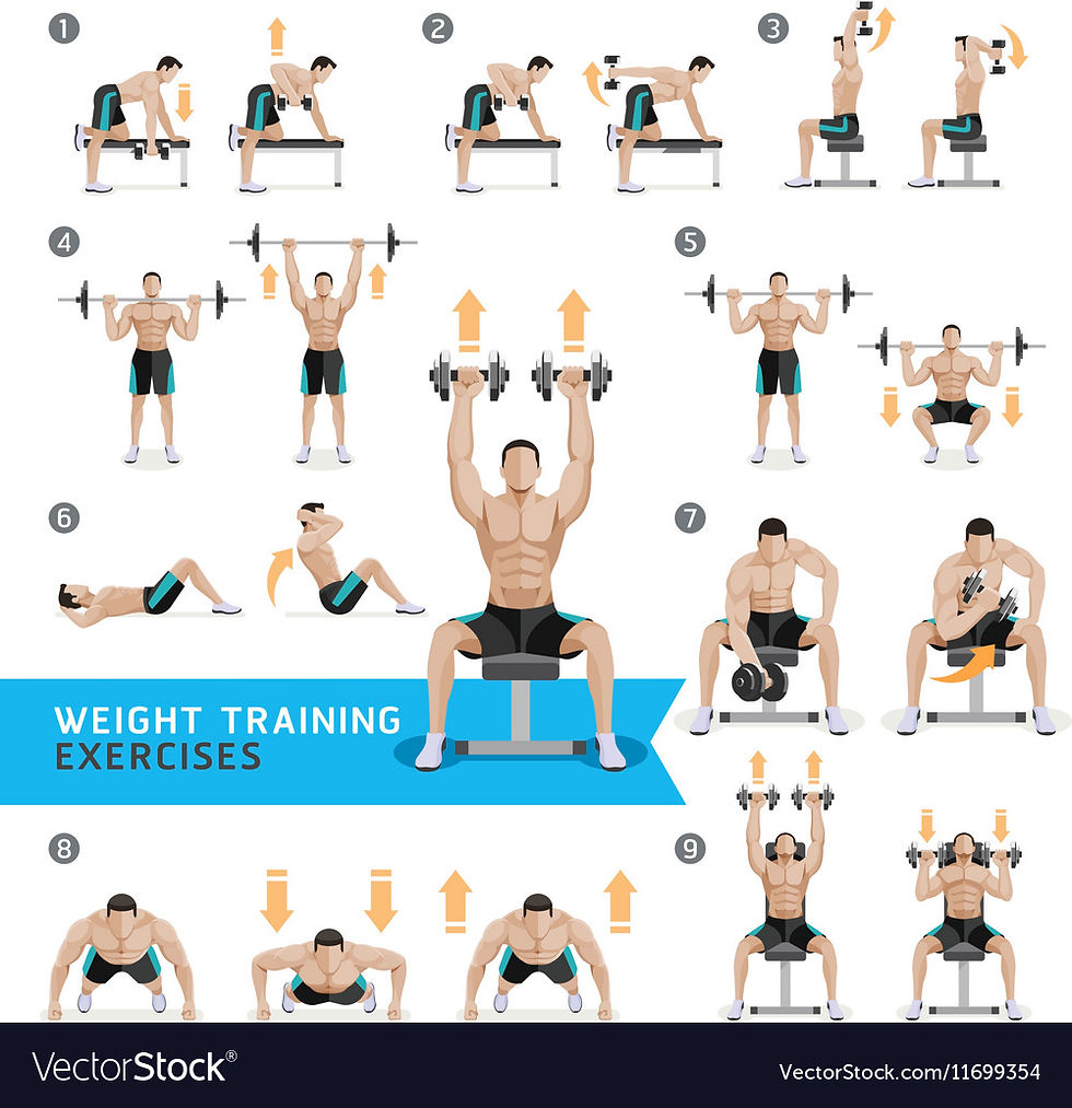 5 tips for building muscles effectively