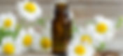 Essential Oils:Chamomile Roman Oil