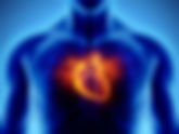 The Red Meat-Heart Disease Connection: Separating Fact from Fiction