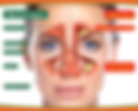 Benefits of Sinus Drainage Therapy from a Chiropractor