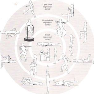 How Chiropractic Care Can Improve Your Lumbar Proprioception