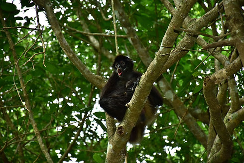 Gerardo poot canche (28).JPG