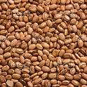 istockphoto-508057940-1024x1024.jpeg