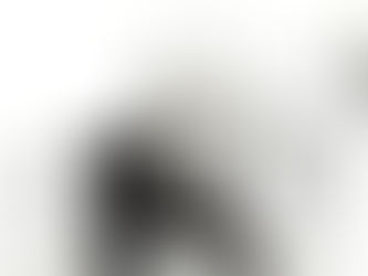 あらゆる状況を・・・・・・・
