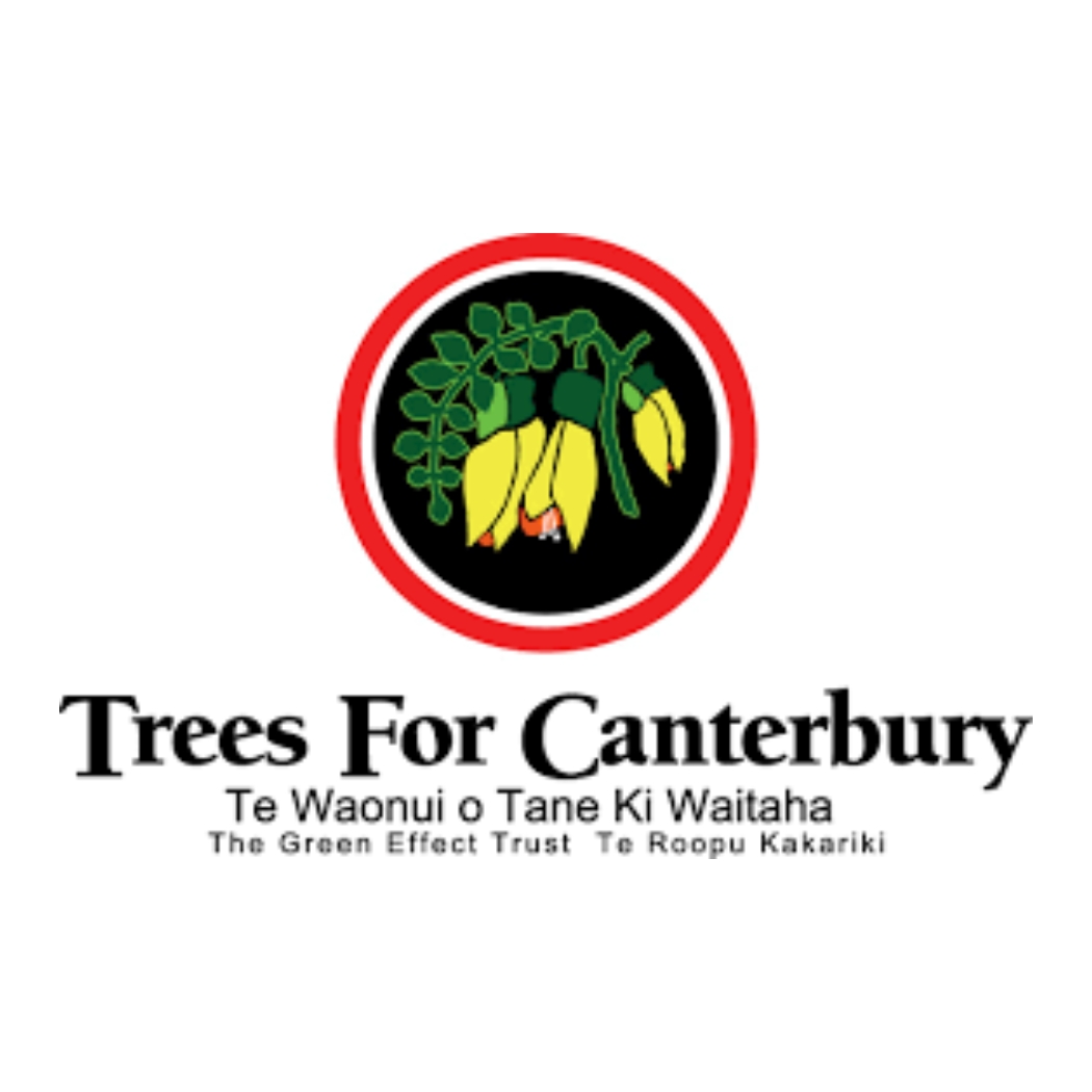 Tree's for Canterbury logo