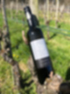 ★ 725 Blanc de Noir alc 13.5% - Swiss white wine