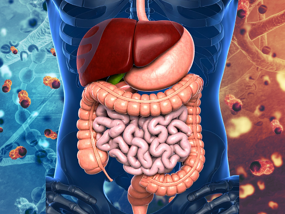 Kintsugi Tin  cells (4).png