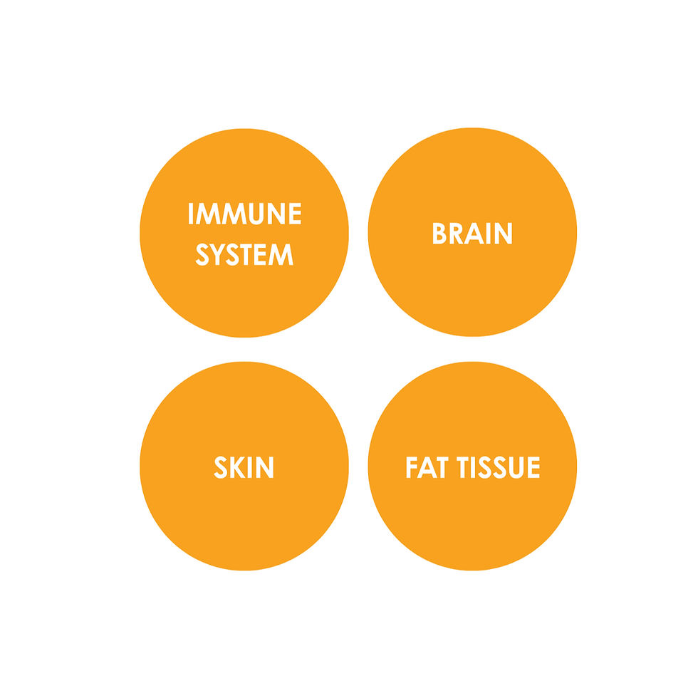 IMMUNE SYSTEM_edited.jpg