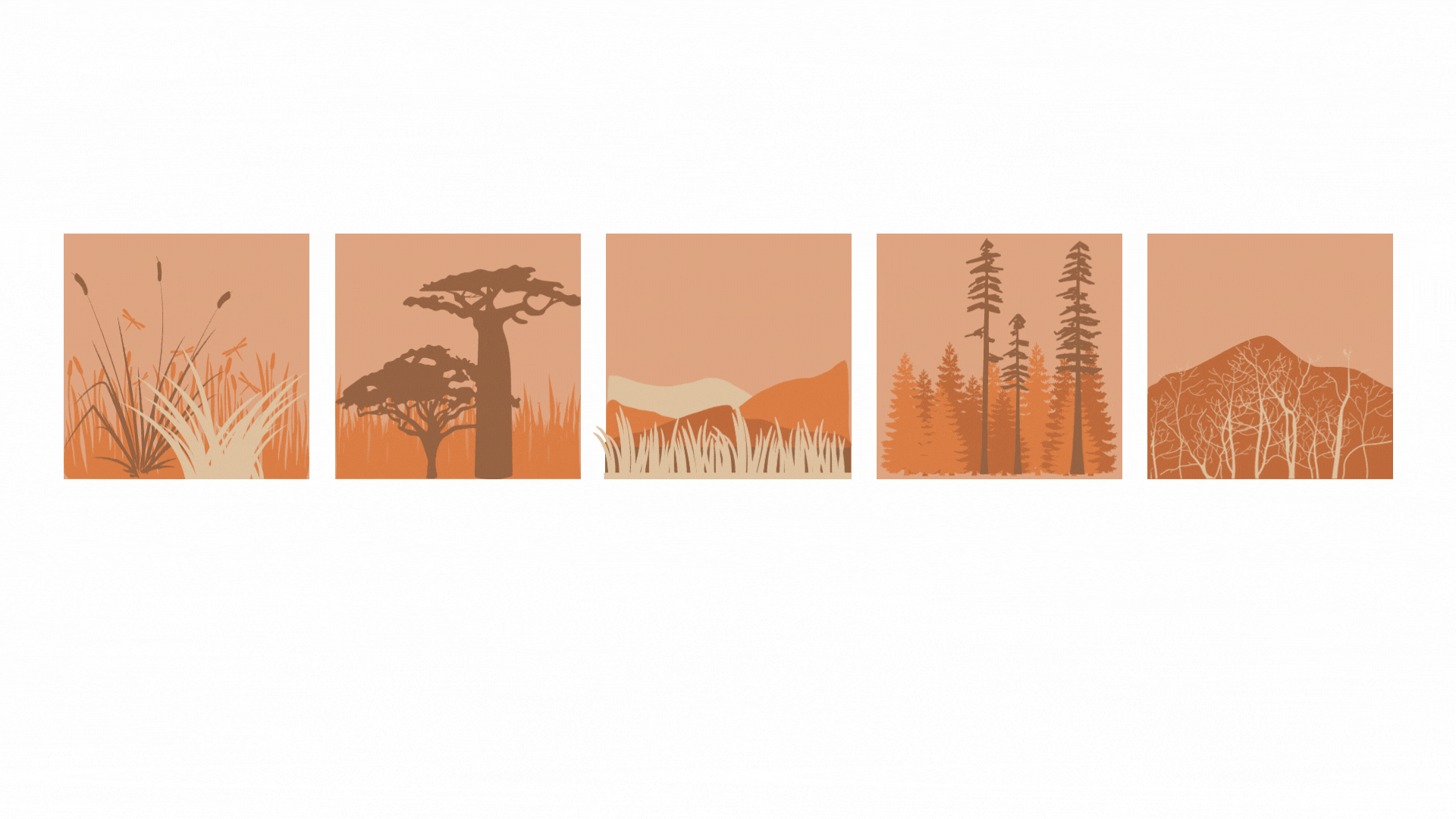 Copy of Some ecosystems naturally fire affected, meaning wildfire is a part of the lifecyc