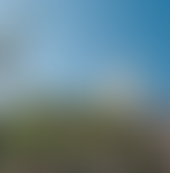 El Aburrá Sur, con los mejores vivideros del país