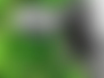 ¡Alto a la Invasión! Cómo Controlar las Raíces en sus Drenajes