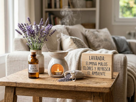 El Poder de la Lavanda: Su Aliado Natural contra los Malos Olores