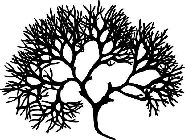 algae-1300306_960_720.png