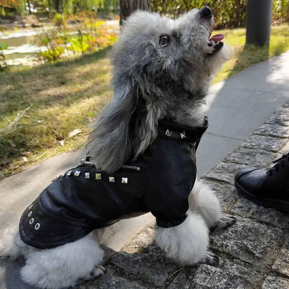 Thumbnail: The Headliner™ Leather Jacket