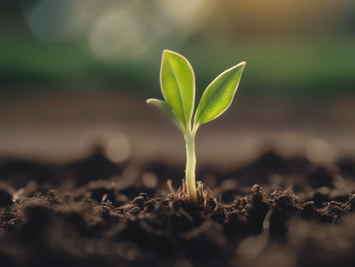 A young plant shoot rises from the fertile soil, representing new beginnings and growth.