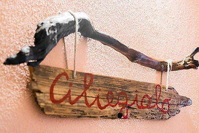 CILIEGIOLO_edited_edited.jpg