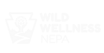 Wild Wellness NEPA Logo White Horizontal (1000 x 500 px) (1).png