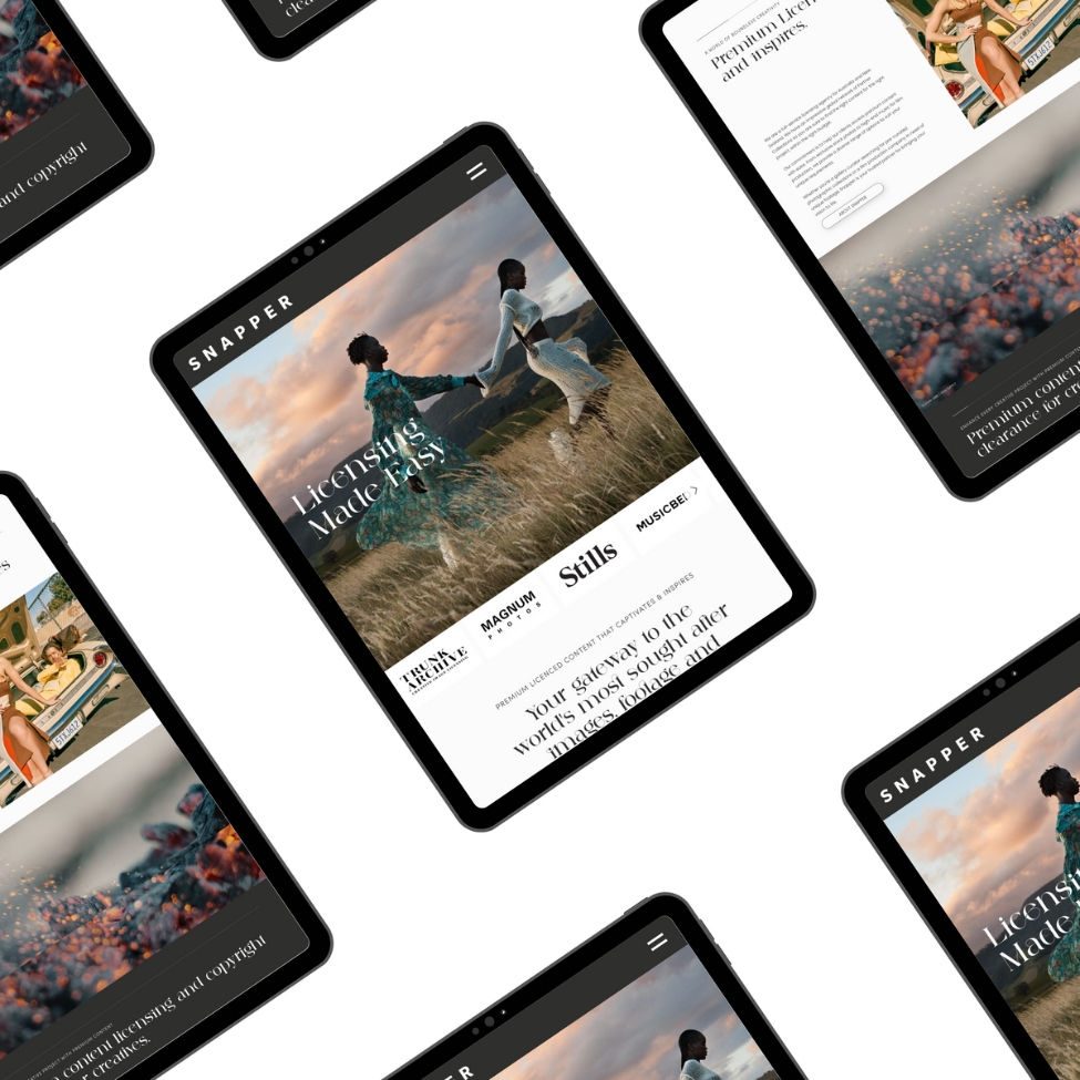 Professional services website design for SNAPPER IMAGES with snapper images is a leading licensing agency that connects creatives across aust