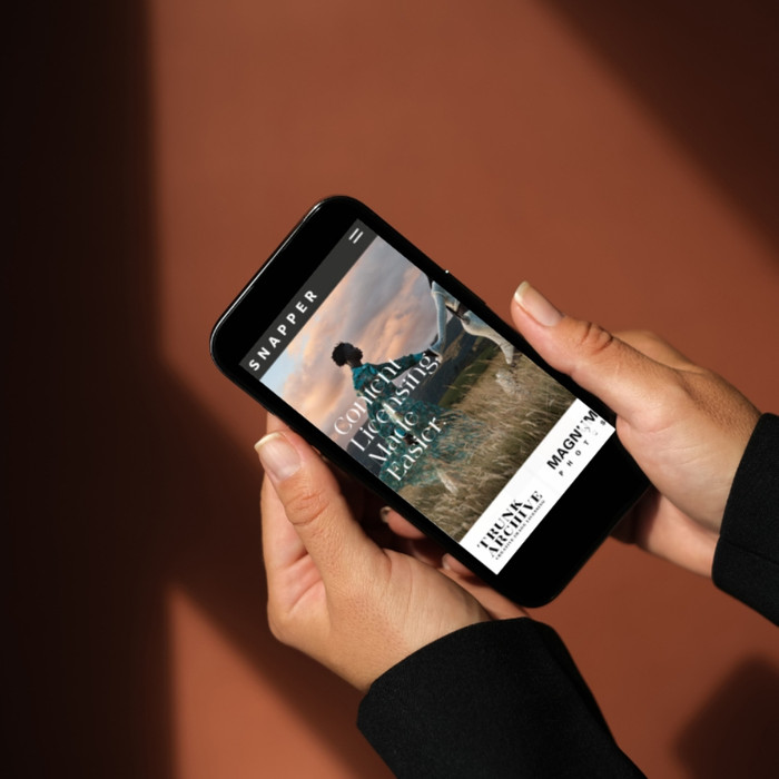 Image Licensing Platform | Snapper Images website by Flow Cre8tive Sydney — clean interface with artist portfolios and search functionality.