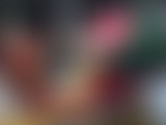 Fiestas Navideñas 2016