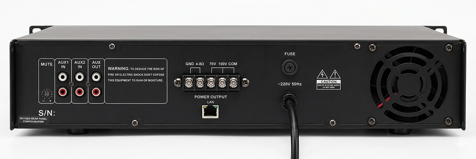 Sofeno SNA100 Amplifier