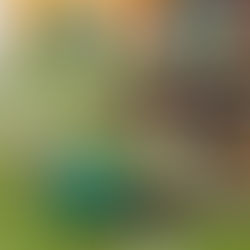 Praga skončila v Extralize 2018 pátá