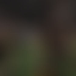 RC Plzeň - Praga B 5:102