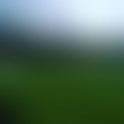 Praga "B" - Přelouč 52:17