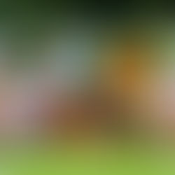 Praga porazila Říčany 30:20