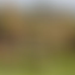 Bronz ze sedmičkového MČR