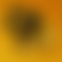 Tip na Vánoční dárek!