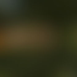 Proběhla Členská schůze 2019