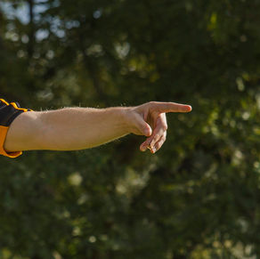 Členské příspěvky 2019-H2