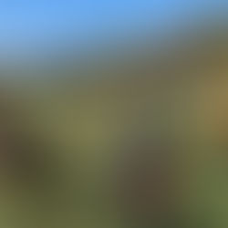 Skvělé výsledky a fair play