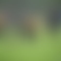 Turnaje 8.-9. října 2022