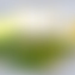 Výstavba posilovny pokračuje