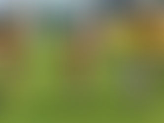 U12: 3. místo na Dragon Cupu