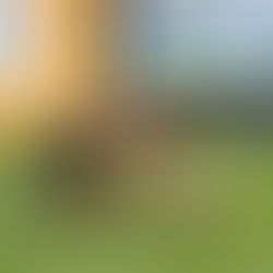 U16: Těsná porážka s Bystrcí