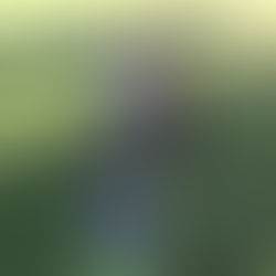 Praga si zajistila výhodu domácího prostředí