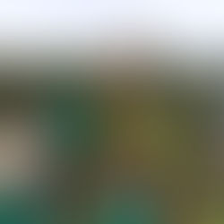 Dragon - Praga 13:27 (0:10)