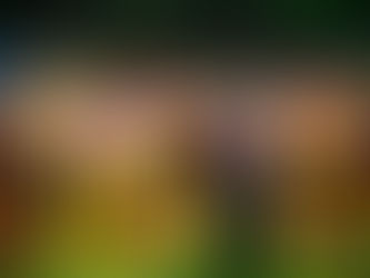 5 důvodů proč si nenechat ujít Oslavy