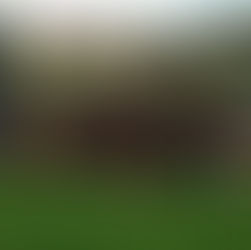 Praga v sezóně 2015/16 bronzová