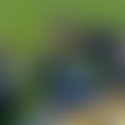 Praga vstala z mrtvých a porazila Říčany