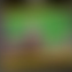 Čeká nás super nabitý víkend na Pragovce